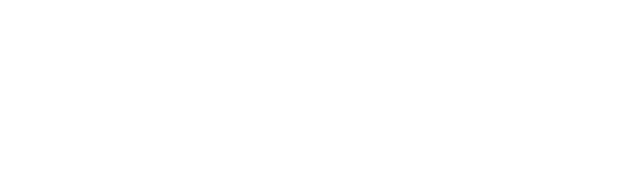 The Chronicle